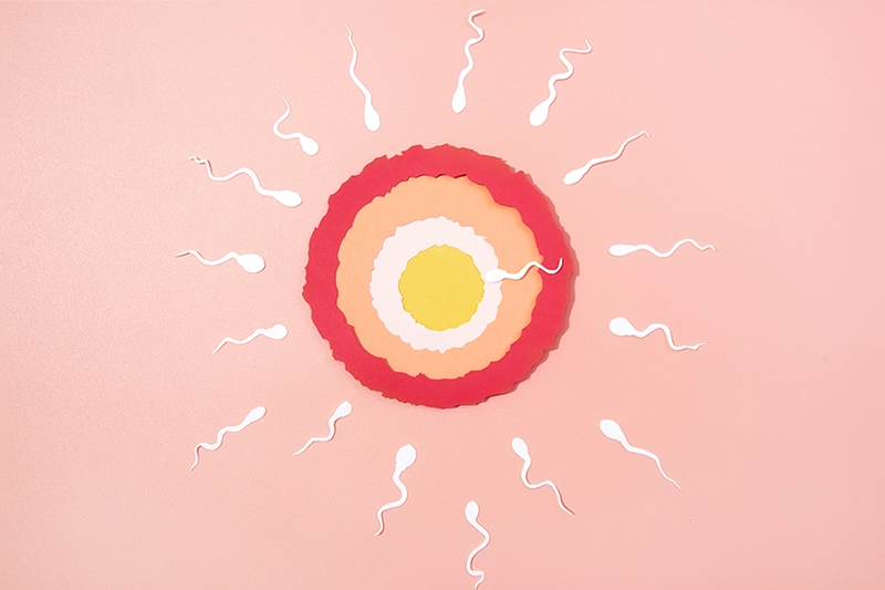Premom「两周等待期：排卵后每天的症状变化」文章封面